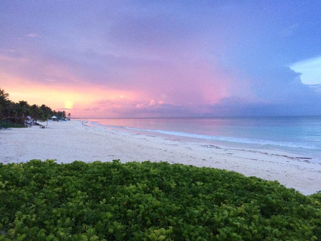 فندق Playa Xcanan تولوم المظهر الخارجي الصورة