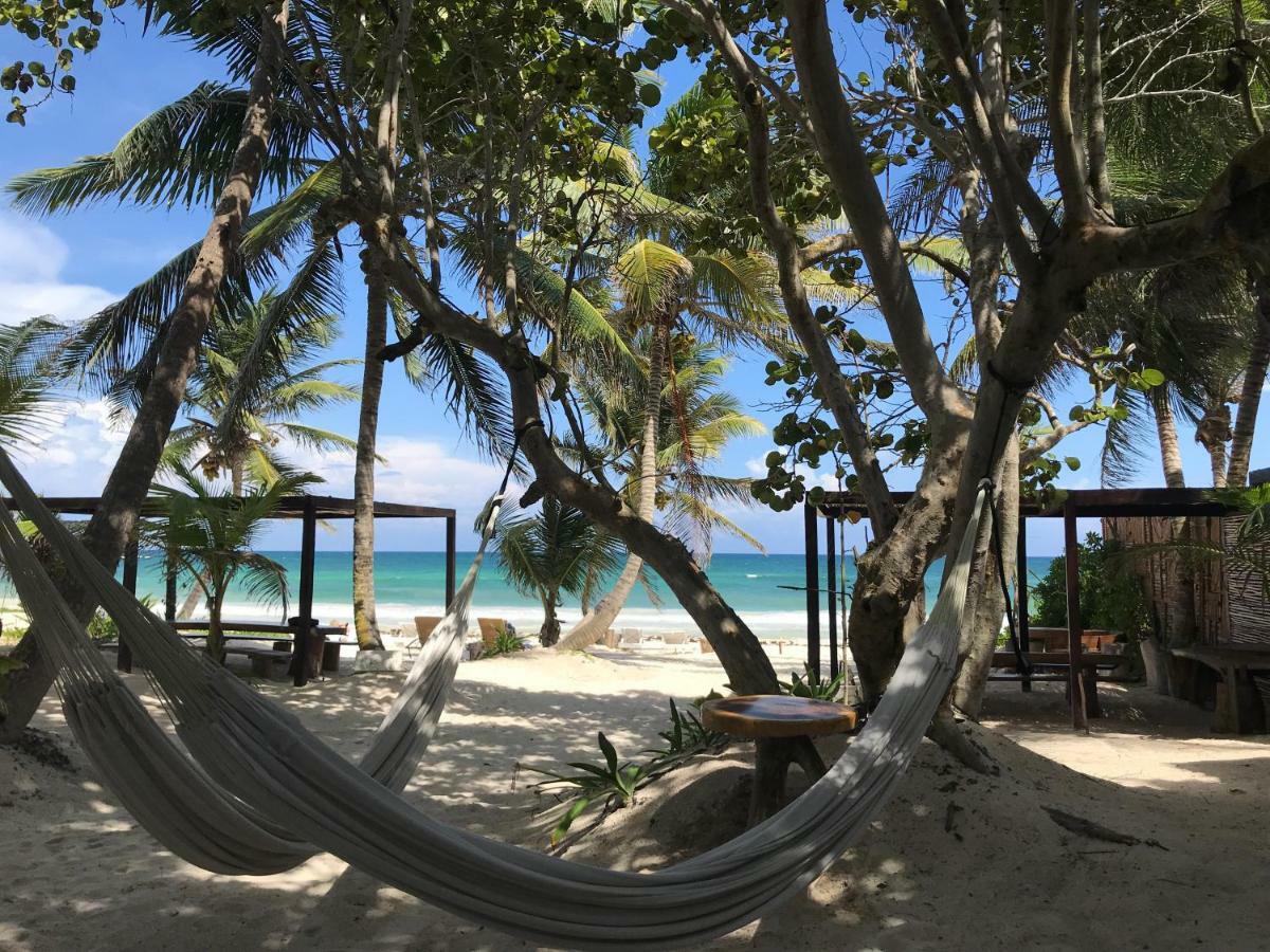 فندق Playa Xcanan تولوم المظهر الخارجي الصورة